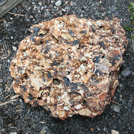 Water and Earth - Large Decorative Rocks Products